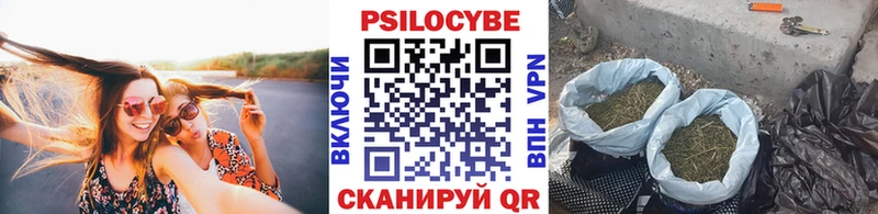 Галлюциногенные грибы ЛСД  Дмитровск 